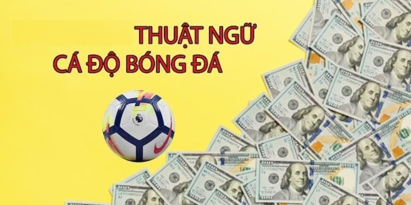 Thuật Ngữ Cá Cược Bóng Đá - Chìa Khóa Cho Thành Công